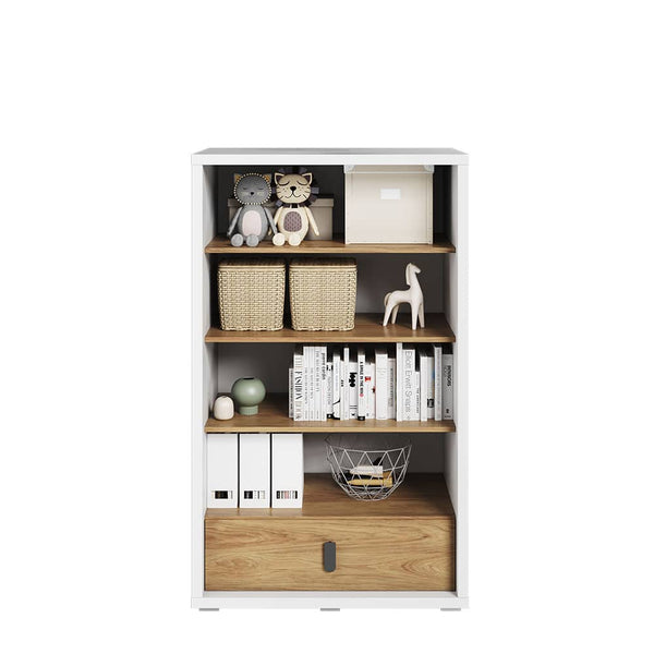 Massi Bookcase