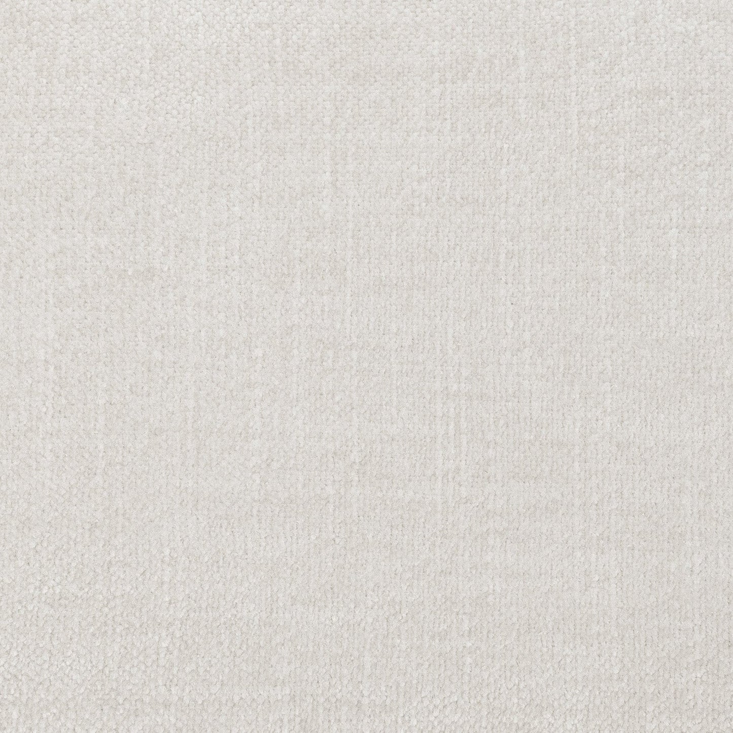 Solid light gray color swatch