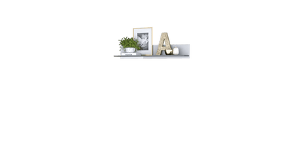 Decorative shelf with a plant, photo frame, and letter 'A' on a green background